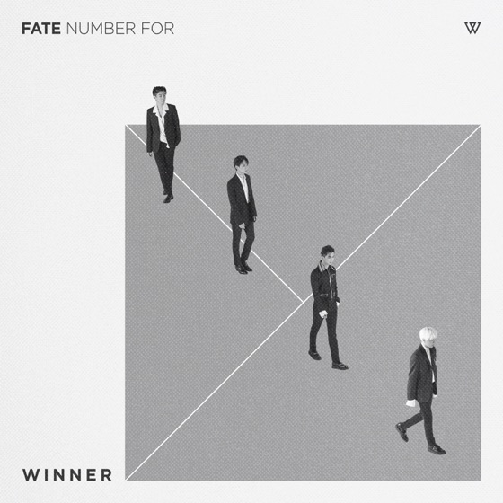 Cover artwork for FOOL