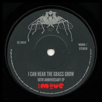 The Move - I Can Hear the Grass Grow (Full-Length Version; Mono)