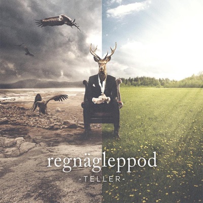 Regnägleppod - Single