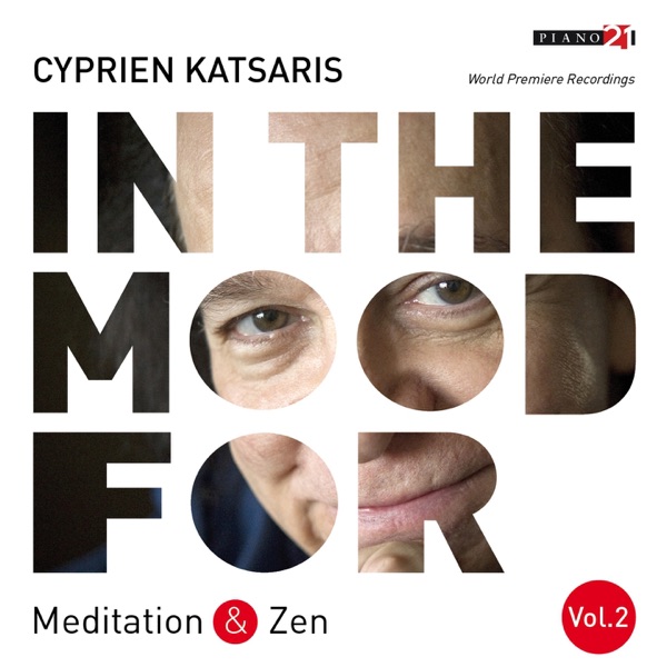 In the Mood for Meditation & Zen, Vol. 2: Chopin, Schumann, Wagner, Saint-Saëns, Tchaikovsky, Mahler... (Classical Piano Hits)