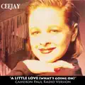 A Little Love (What's Goin' On)