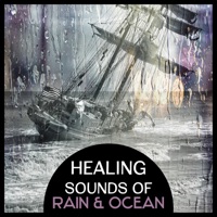 Healing Sounds of Rain & Ocean – Relaxing Collection of Nature Sounds for Stress Management, Peaceful Sleep, Meditation & Study - Healing Power Natural Sounds Oasis