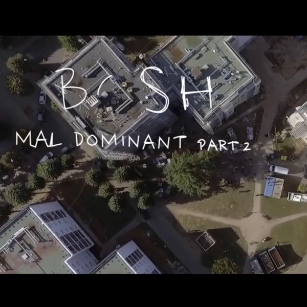 Mal Dominant, Pt. 2 - Single - Bosh