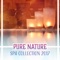 Luxury Spa for Relaxation - Soothing Music Collection lyrics