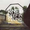 Knee Deep in Sound: BPM 2017 Sampler - Various Artists