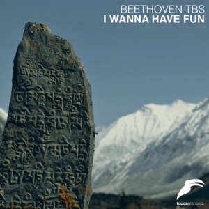 I Wanna Have Fun - Single