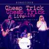 Voices - Cheap Trick