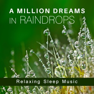 A Million Dreams in Raindrops: Relaxing Sleep Music, Cure for Insomnia, Soothing Sounds of Nature for Deep Meditation, Healing Rain for Rest