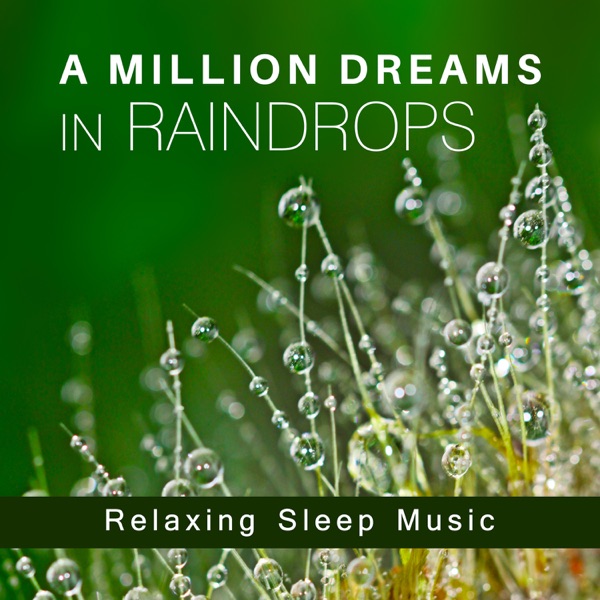A Million Dreams in Raindrops: Relaxing Sleep Music, Cure for Insomnia, Soothing Sounds of Nature for Deep Meditation, Healing Rain for Rest