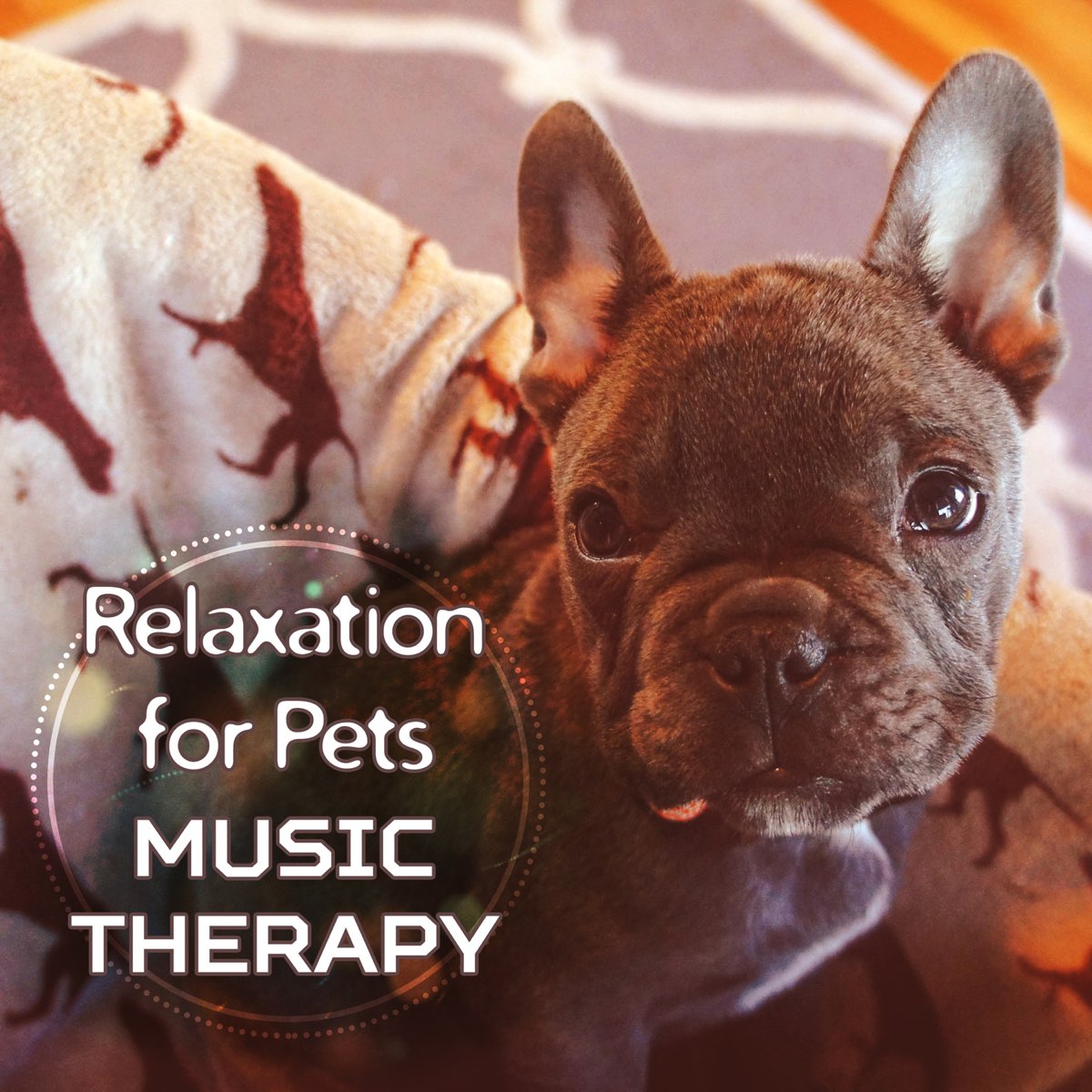 Music pets. Music Therapy for Cats. Музыка для Petpet.