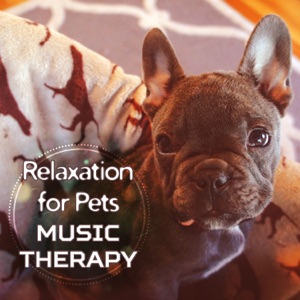 Relaxation for Pets: Music Therapy – Calm Dog, Happy Owner, Smooth Music for Pet Spa, Sleep Music, Home Alone, Stress Relief Sounds