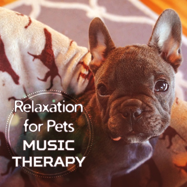 Relaxation for Pets: Music Therapy – Calm Dog, Happy Owner, Smooth Music for Pet Spa, Sleep Music, Home Alone, Stress Relief Sounds