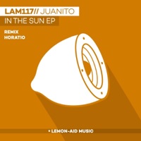 In the Sun - Single - Juanito