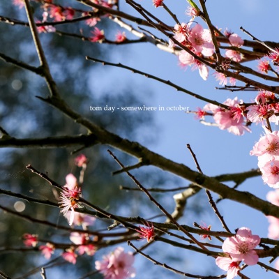 Somewhere in October - Single