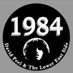 David Peel & The Lower East Side - The Members of 1984