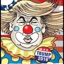 F**k Donald Trump Sirealz