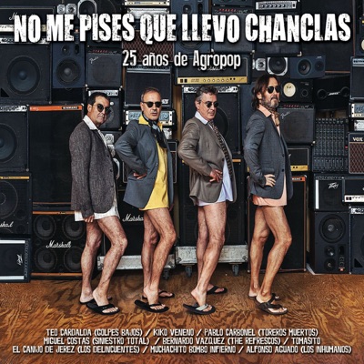 Ojalá no te hubiera conocido nunca (feat. Muchachito Bombo Infierno) artwork