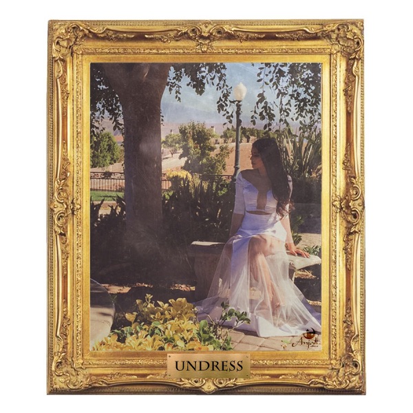 Undress (GLOWINTHEDARK Remix) - Single