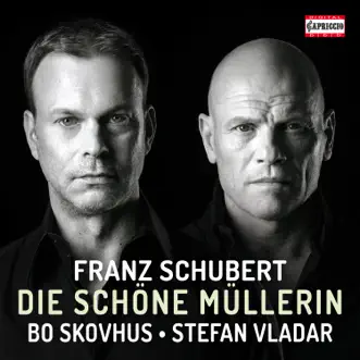 Die schöne Müllerin, Op. 25, D. 795: No. 1, Das Wandern by Bo Skovhus & Stefan Vladar song reviws