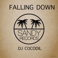 Falling Down - Single - DJ Cocodil