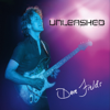 Anticipating You (Live) - Dave Fields