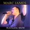 One Man Travelling Show - Marc James lyrics