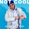 Not Cool (feat. Nessly) - Single