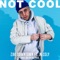 Not Cool (feat. Nessly) - Zak Downtown lyrics