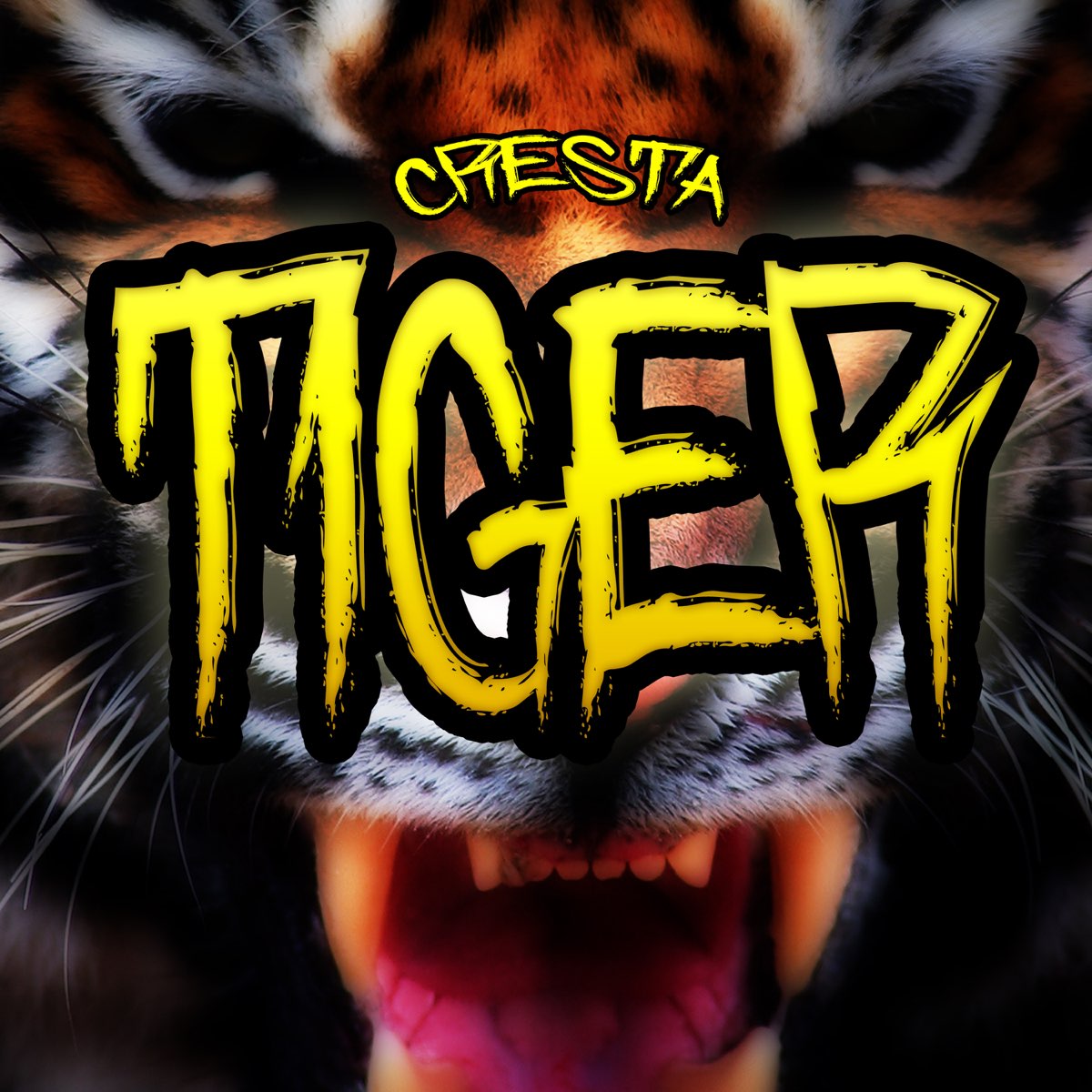 Тайгер слушать. Тигр ремикс. & Tiger альбом. Fm тигр радио.