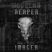 Modular Reaper Imager - Mask of Grin