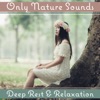 Only Nature Sounds: Deep Rest & Relaxation – Healing Music for Stress Relief, Silence Meditation, Fresh Feeling, Calm Spirit