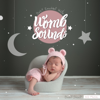 Baby Sleep Aid Music (30 Min.) - EP - Womb Sounds, Baby Einschlaf-Hilfe
