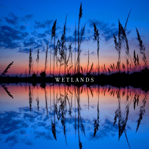 Wetlands