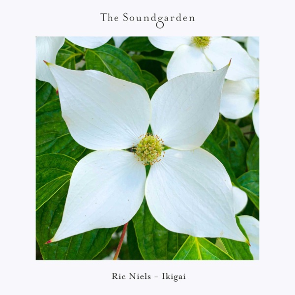 Ikigai - Single