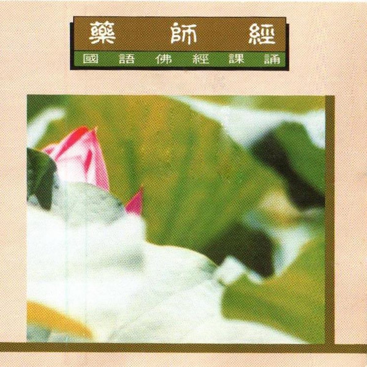 ‎《国语佛经课诵-地藏王菩萨本愿经(上)》- 妙莲华的专辑 - Apple Music