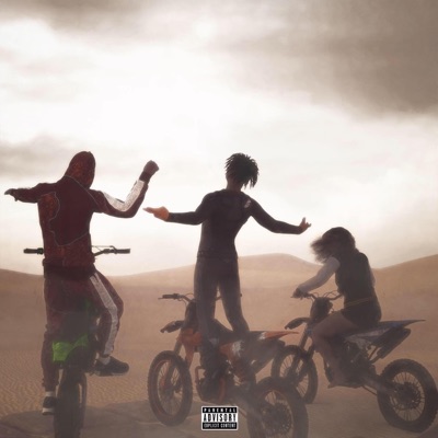 Gas & Mud (Brian Deegan) - Single
