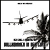 Willkommen in der Luft (feat. Krystall46) - Single