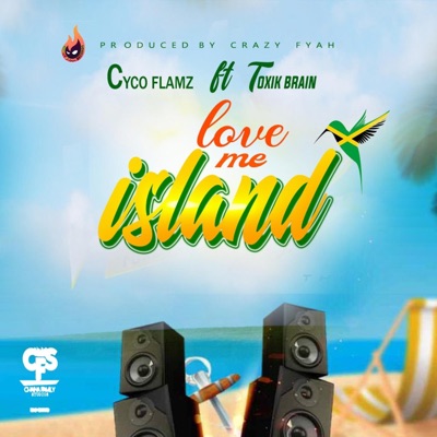 Love me island (feat. Toxik brains) [Radio Edit] - Single