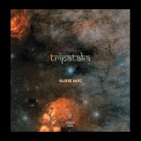Where's My Bell Gone? (feat. Adrian Sherriff, Jonathan Dimond, Adam King & Daryl Pratt) - EP - Tripataka