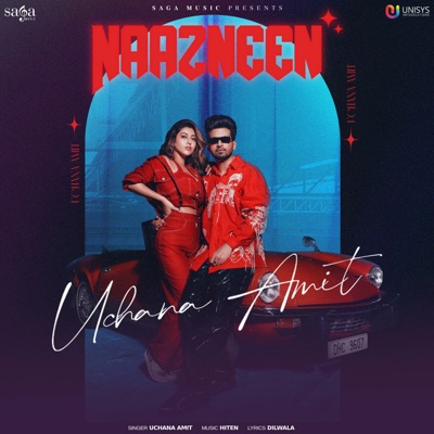 Naazneen - Single