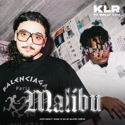 Malibu (feat. Wally A$M) - Single