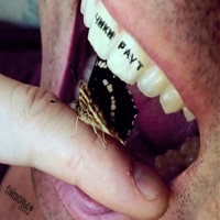 Чикираут - Питоны 3000