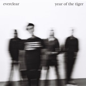 Year of the Tiger artwork