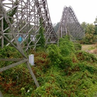 InterGull - EP - Young Seagull & INTERBRAIN