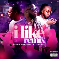 I Like (feat. Lil Ru aka Boobie Samuels) [Nasty Remix] - Single - None Before