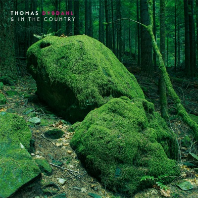 Thomas Dybdahl & In the Country - EP