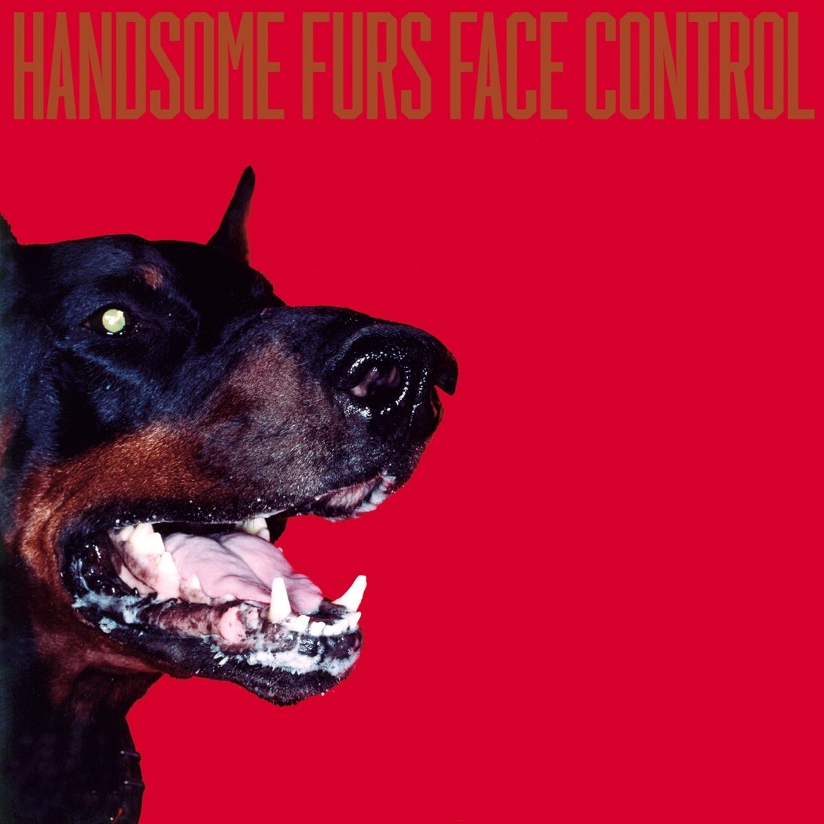 Face Control - Album by Handsome Furs - Apple Music