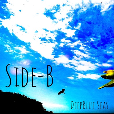 Side (B)