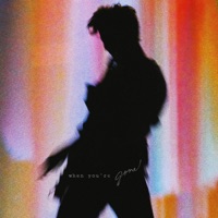 When You're Gone - Single - Shawn Mendes