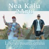 Liber ca pasarea cerului (feat. 2Aru) - Single